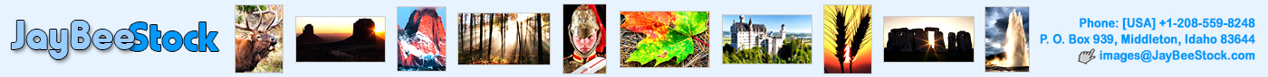 Photo library of travel, natural history, inspirational and wildlife images, illustrations and video