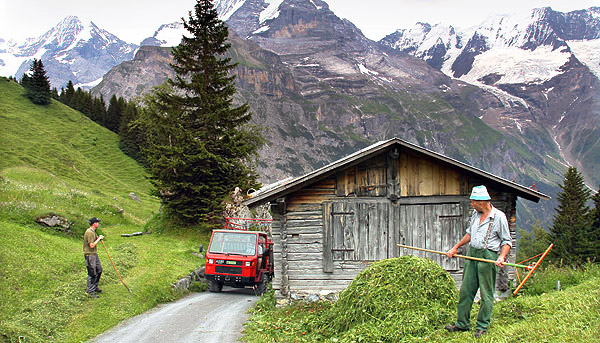 Agricultural images from the Swiss, Austrian, German and Italian Alps