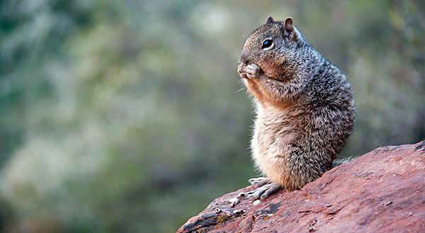 American southwest photo tour image from Utah and Arizona