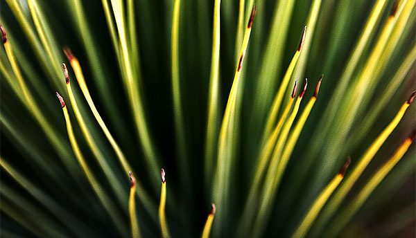 Photo tours of Tasmania, Australia