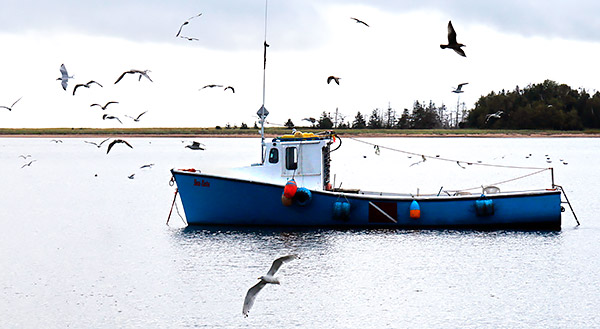 Boat, ship, kayak, canoe, gondola images
