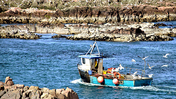 Boat, ship, kayak, canoe, gondola images