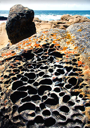 California's Mendocino Coast photography tour image