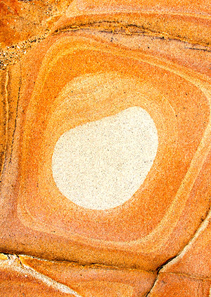 Photo tour image of California's central coast