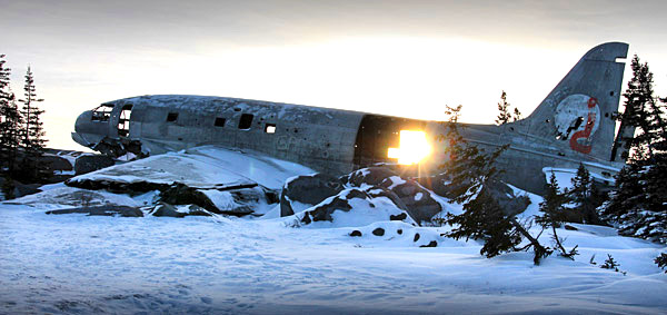 Polar Bear photo tour image near Churchill, Manitoba, Canada