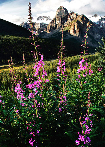 Photo tours of the Canadian Rockies