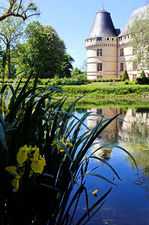 European castle photo, image