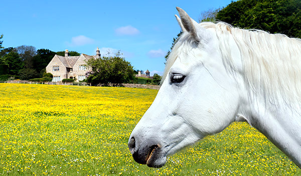 Photo library, stock image of England, UK