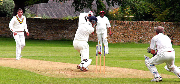 Cricket: Image copyright John T. Baker Photographer LLC
