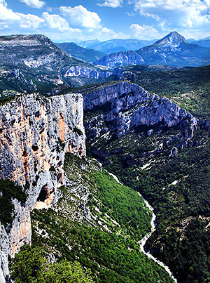 Provence lavender season image, France, on a photography tour