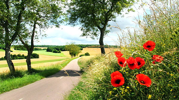 Burgundy photo, Bourgogne, France