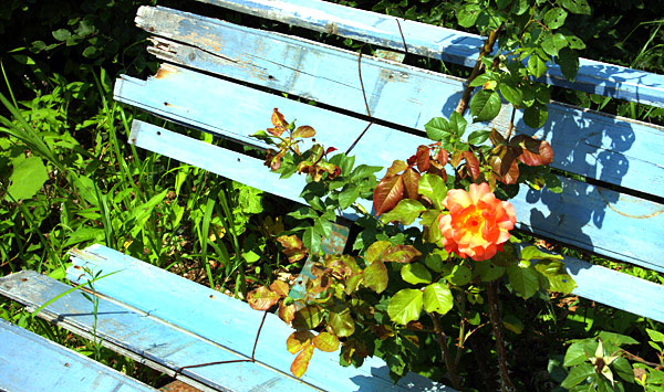 Northern France photo: Brittany, Normandy, and the Loire Valley