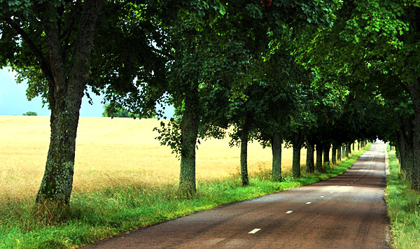 Burgundy photo, Bourgogne, France