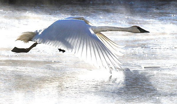 Ice and snow photos