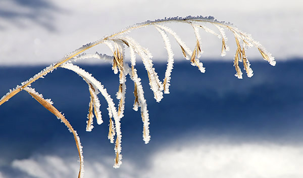 Ice and snow photos