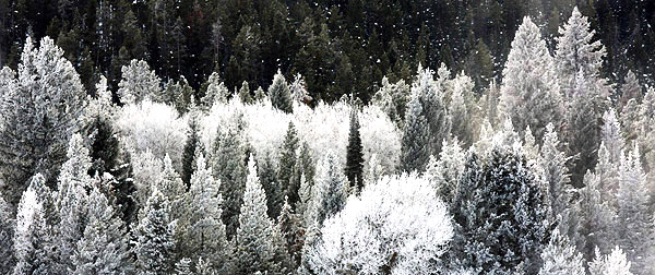 Ice and snow photos