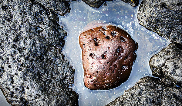 Iceland photo tour image