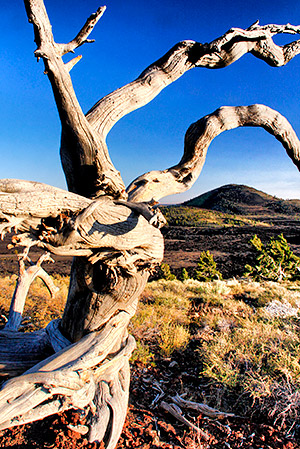 Idaho photo library image: Copyright John Baker Photographer LLC