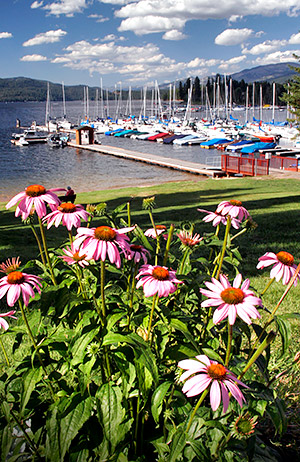 Idaho photo library image: Copyright John Baker Photographer LLC