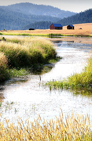Idaho photo library image: Copyright John Baker Photographer LLC
