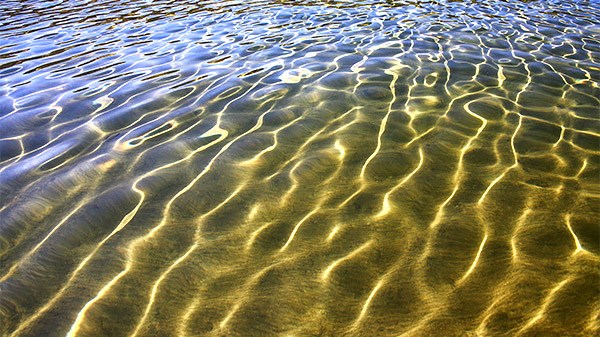 Idaho photo library image: Copyright John Baker Photographer LLC