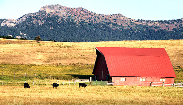 Idaho photo library image: Copyright John Baker Photographer LLC