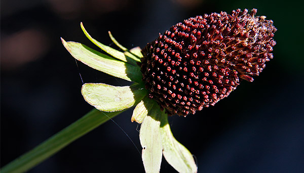 Idaho photo library image: Copyright John Baker Photographer LLC