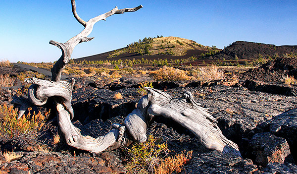 Idaho photo library image: Copyright John Baker Photographer LLC