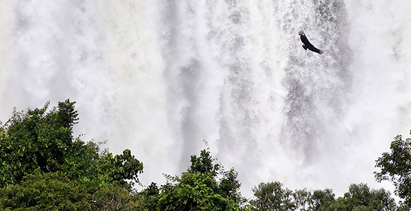 Photo tour image of the Iguazu Falls on the Argentina-Brazil border