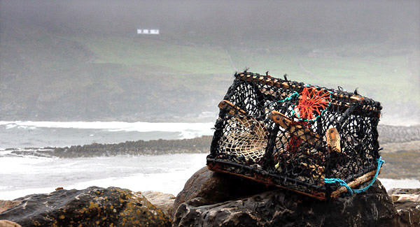 Photo of Ireland, the Emerald Isle