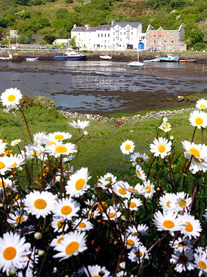 Photo of Ireland, the Emerald Isle