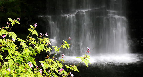 Photo of Ireland, the Emerald Isle