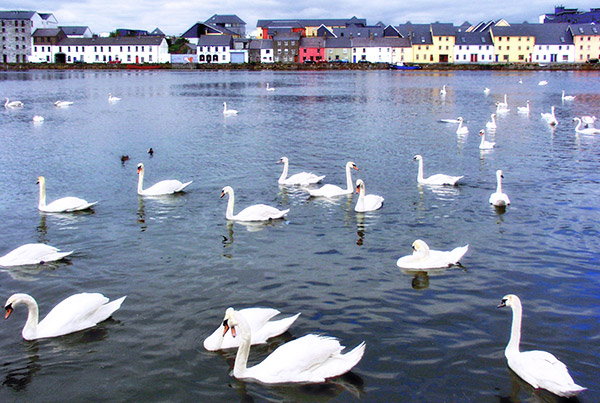 Photo of Ireland, the Emerald Isle
