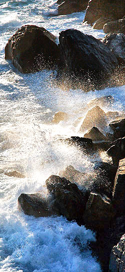 Photo from a Cinque Terre photo tour, Italy