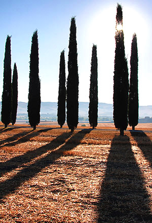Photo tour image from Tuscany, Italy