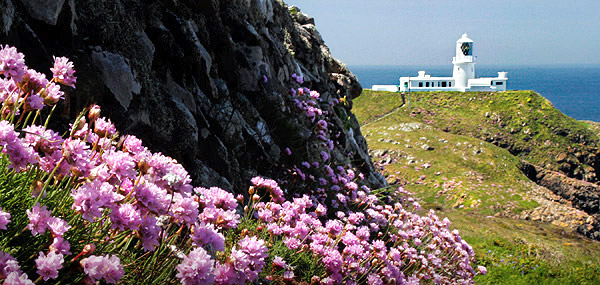 Lighthouse image, picture
