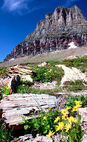 Photo library image from Glacier National Park in Montana