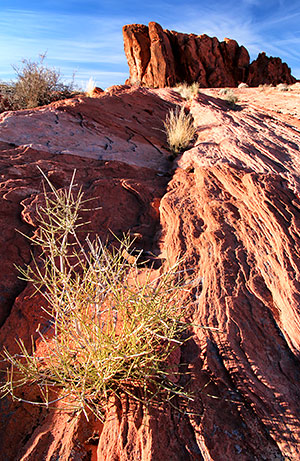 Stock library images of the the Valley of Fire State Park, Nevada