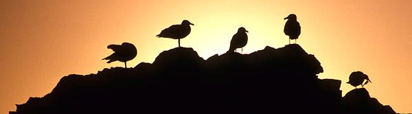 Pacific Northwest photo, Oregon and Washington, USA
