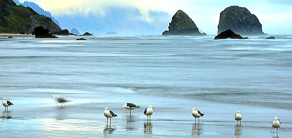 Pacific Northwest photo, Oregon and Washington, USA
