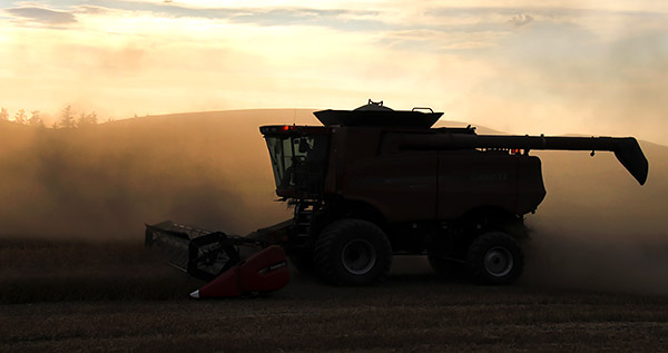 Palouse agricultural image, grain harvest, Idaho and Washington