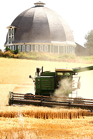 Palouse agricultural image, grain harvest, Idaho and Washington