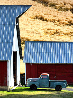 Palouse agricultural image, grain harvest, Idaho and Washington