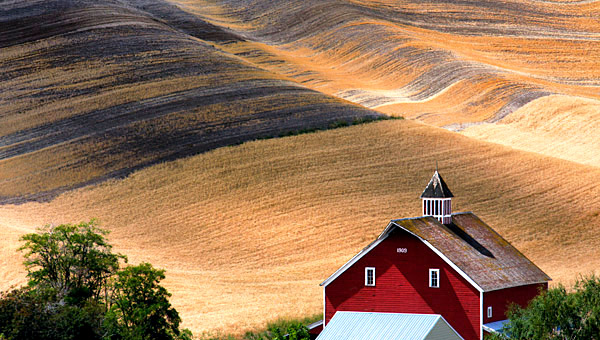 Palouse agricultural image, grain harvest, Idaho and Washington