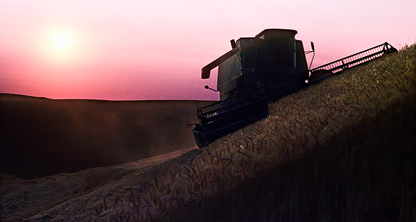 Palouse agricultural image, grain harvest, Idaho and Washington