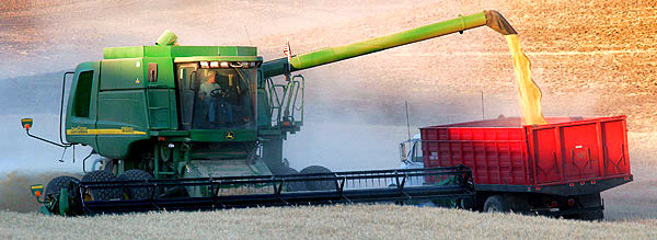 Palouse agricultural image, grain harvest, Idaho and Washington