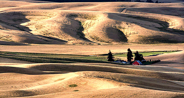 Palouse agricultural image, grain harvest, Idaho and Washington