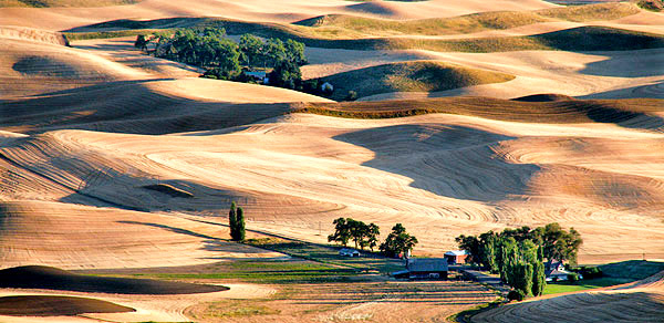 Palouse agricultural image, grain harvest, Idaho and Washington