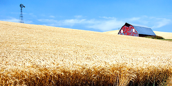 Palouse agricultural image, grain harvest, Idaho and Washington