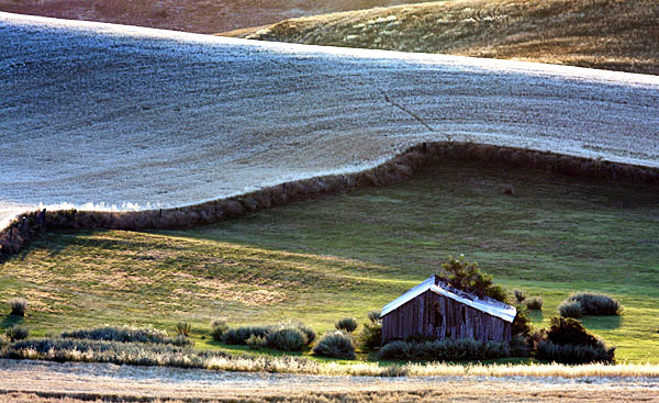 Palouse agricultural image, grain harvest, Idaho and Washington